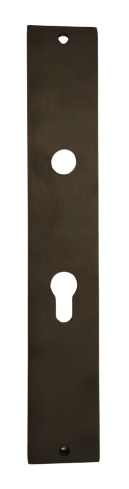 PLACA DE ACCESO LP MODERNA (E33) BLACK MATT SEGURIDAD