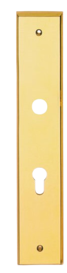 PLACA DE ACCESO LP MODERNA PVD SEGURIDAD (Venta hasta agotar stock)